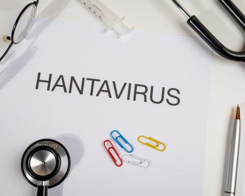 canadian-hantavirus-patient-recovers