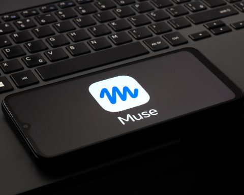 Meta options surge on AI excitement